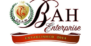 TEAM BAH ENTERPRISE, LLC logo