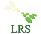 Lifetime Recruiting Strategies