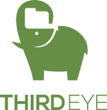 Third Eye Consulting Services & Solutions LLC. logo