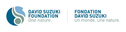 David Suzuki Foundation logo