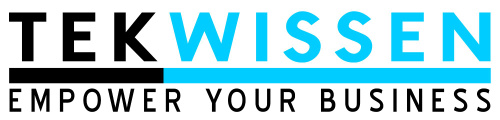 TEKWISSEN LLC logo
