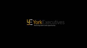 York Executive Solutions logo