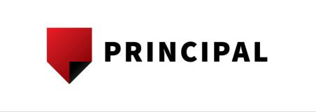 Principal engineering. s.r.o. logo