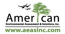 American Environmental Assessment  logo