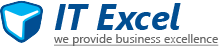 IT EXCEL LLC logo