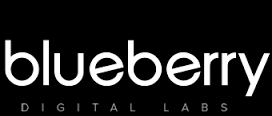 Blueberry Labs Private Limited logo