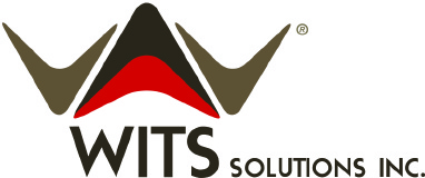 Wits Solutions Inc. logo
