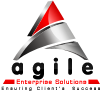 Agile Enterprise Solutions logo