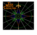 True North Consulting, LLC logo