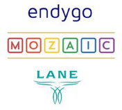 Endygo logo