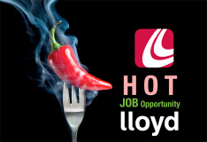 Lloyd Staffing logo