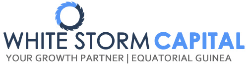 White Storm Capital logo
