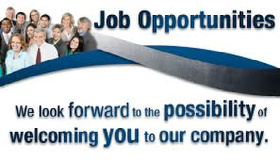 Recruitment Solutions Integrators logo
