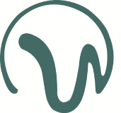 Walker Healthcare IT logo