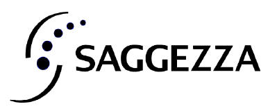 Saggezza India Pvt. Ltd logo