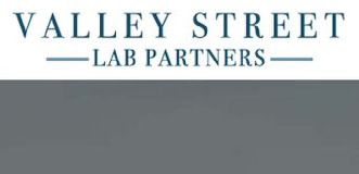 Valley Street Lab Partners logo