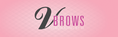 VBrows logo