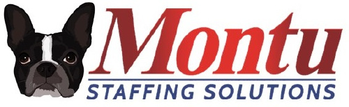 Montu Staffing Solutions logo
