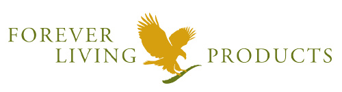 Forever Sandbox logo