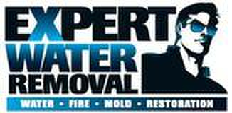 Georgia Water and Fire logo