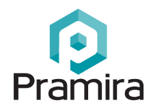 Company logo for Pramira Inc