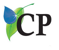 CP Profesional Services logo