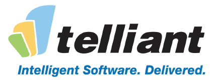 Telliant Systems India Private Limited logo