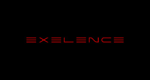 exelence logo