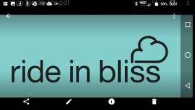 Rideinbliss logo