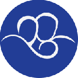 Southern NJ Perinatal Cooperative logo
