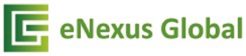 enexus global logo