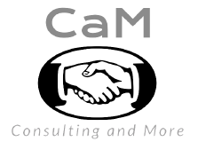 Consulting and More logo