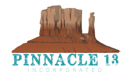 Pinnacle 13 Inc. logo
