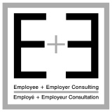 E+E Consulting logo