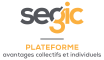 Segic Logo