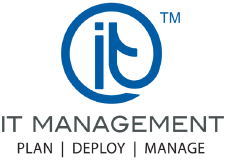 IT Management Corp. dba 101 VOICE logo