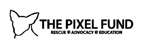 The Pixel Fund