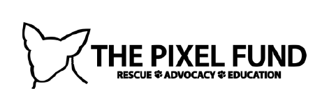 The Pixel Fund logo