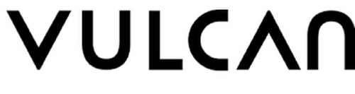 Vulcan Cyber Inc. logo