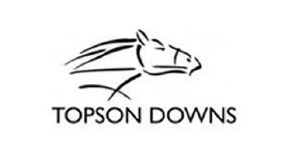 Topson Downs logo