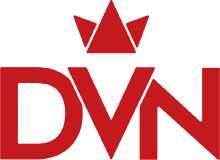 DVN Co., LLC logo