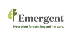 Emergent logo