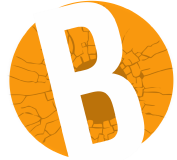 Brakin Out Inc logo