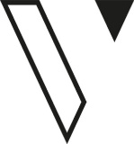 Verse Group Ltd logo