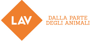 LAV - LEGA ANTI VIVISEZIONE logo