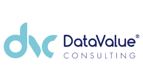 Datavalue Consulting logo