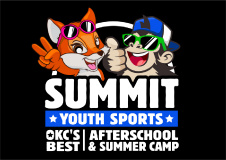 theSummit Martial Arts logo