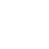 Ntem Ventures logo