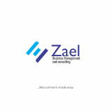 Zael consulting logo