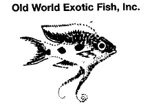 Old World Exotic Fish Inc logo